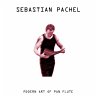 Modern Art Of Pan Flute - Bild 1