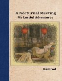 A Nocturnal Meeting: My Lustful Adventures (eBook, ePUB)