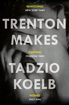Trenton Makes (eBook, ePUB) - Koelb, Tadzio