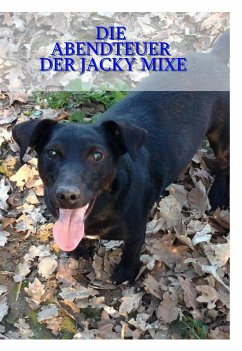 Die Abenteuer der Jacky Mixe (eBook, ePUB) - Behnecke, Kay