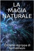 La magia naturale (eBook, ePUB)