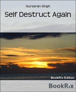 Cover Self Destruct Again (eBook, ePUB)
