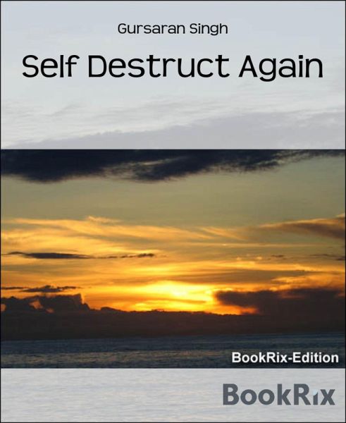 Self Destruct Again (eBook, ePUB)