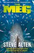 The MEG - Bild 1