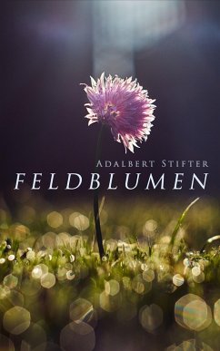 Feldblumen (eBook, ePUB) - Stifter, Adalbert