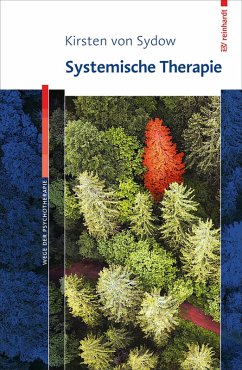 Systemische Therapie (eBook, PDF) - Sydow, Kirsten von