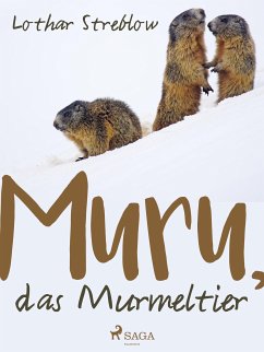 Murru, das Murmeltier (eBook, ePUB) - Streblow, Lothar