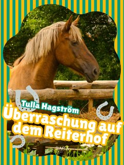 Überraschung auf dem Reiterhof (eBook, ePUB) - Hagström, Torbjörg