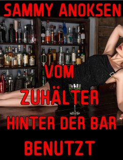 Vom Zuhälter hinter der Bar benutzt (eBook, ePUB) - Anoksen, Sammy