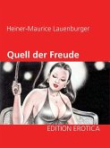 Quell der Freude (eBook, ePUB)
