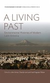 A Living Past (eBook, ePUB)