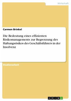 Die Bedeutung eines effizienten Risikomanagements zur Begrenzung des Haftungsrisikos des Geschäftsführers in der Insolvenz (eBook, ePUB)