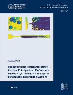 Gaskavitation in kohlenwasserstoffhaltigen Flüssigkeiten: Einfluss von ruhendem, strömendem und hydrodynamisch kavitierendem Zustand - Wolf, Fabian