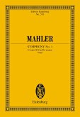 Symphony No. 1 D major (eBook, PDF)