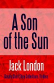 A Son of the Sun (eBook, ePUB)