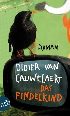 Das Findelkind (eBook, ePUB) - Cauwelaert, Didier van