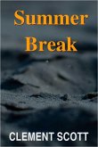 Summer Break (eBook, ePUB)