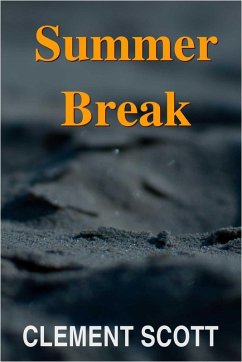 Cover Summer Break (eBook, ePUB)