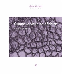 Quand le voile se déchire (eBook, ePUB) - Paloniève, Anne