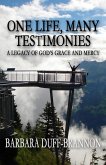 One Life, Many Testimonies a Legacy of God's Grace and Mercy (eBook, ePUB)