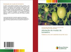 Adubação de mudas de tomateiro - Correia dos Anjos, David;Felipe Ferreyra Hernadez, Fernando;Alves Maia Neto, Antonio