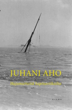 Hajamietteitä kapinaviikoilta - Aho, Juhani