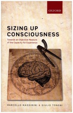 Sizing Up Consciousness - Massimini, Marcello (Professor of Neurophysiology, Professor of Neur; Tononi, Giulio (Professor of Psychiatry, Professor of Psychiatry, De