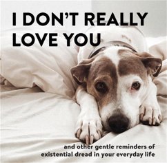 Cover I Don't Really Love You