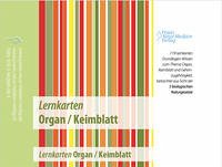 Lernkarten Organ / Keimblatt
