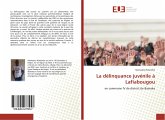 La délinquance juvénile à Lafiabougou