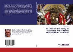 The Shadow Economy at the Phase of Economic Development in Turkey