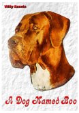 A Dog named Boo (eBook, ePUB)