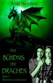 Das Bündnis der Drachen (eBook, ePUB)