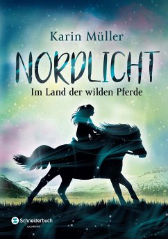 Nordlicht, Band 01 (eBook, ePUB) - Müller, Karin