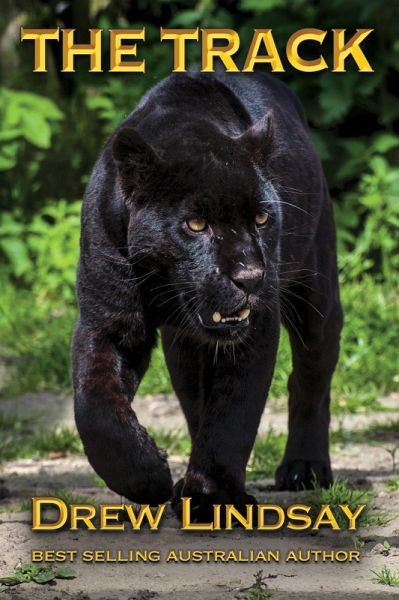 The Track (Ben Hood Thrillers, #27) (eBook, ePUB)