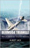 Bermuda Triangle (eBook, ePUB)