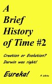 A Brief History of Time #2 (eBook, ePUB)