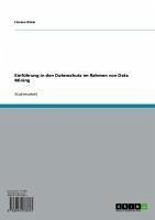 Einführung in den Datenschutz im Rahmen von Data Mining (eBook, ePUB) - Klink, Florian