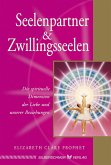 Seelenpartner & Zwillingsseelen (eBook, ePUB)