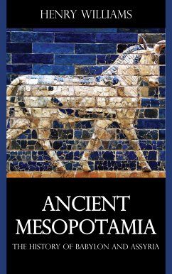 Ancient Mesopotamia (eBook, ePUB) - Williams, Henry