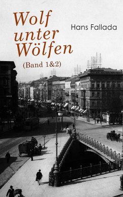 Wolf unter Wölfen (Band 1&2) (eBook, ePUB) - Fallada, Hans