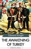 The Awakening of Turkey (eBook, ePUB)