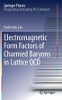 Electromagnetic Form Factors of Charmed... - Bild 1
