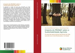 Impacto do PRONAF sobre a Sustentabilidade Agrícola - Bittencourt Passos, Ana Tereza;Khan, Ahmad Saeed