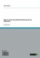 Basel II und die wirtschaftliche Bedeutung für den Mittelstand (eBook, ePUB)