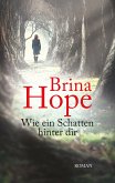 Wie ein Schatten hinter dir (eBook, ePUB)