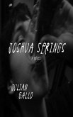 Joshua Springs (eBook, ePUB)