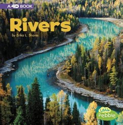 Rivers: A 4D Book - Shores, Erika L.