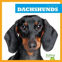 Dachshunds - Duling, Kaitlyn