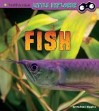 Fish: A 4D Book